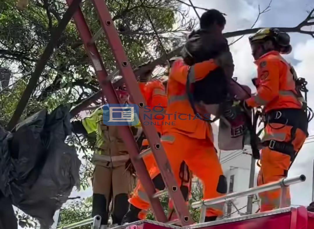 Vídeo: morador de rua mobiliza Bombeiros ao viver em abrigo improvisado no alto de árvore em BH