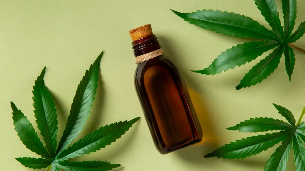 Anvisa aprova regras inéditas para produção de cannabis medicinal no Brasil; o que muda?