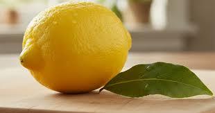 Ferver cascas de limão com folhas de louro: veja por que essa dica simples virou tendência