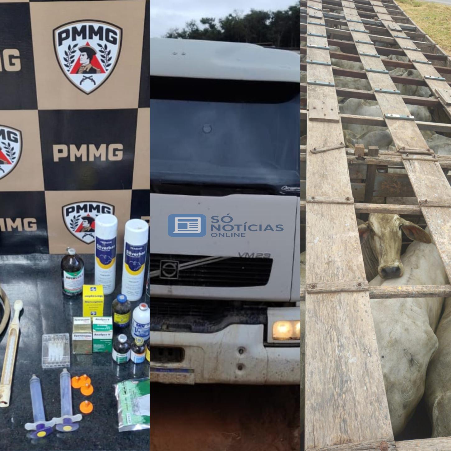 Furto de gado é descoberto na zona rural de Santa Cruz do Escalvado; Polícia recupera 16 bovinos e prende três suspeitos