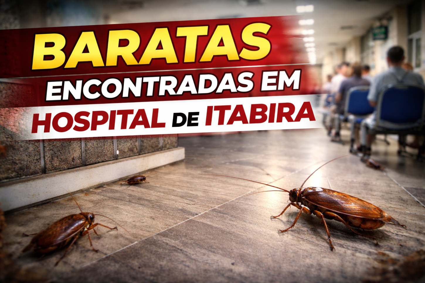 Usuária relata presença de baratas durante realização de exames no Hospital São Francisco Xavier, em Itabira