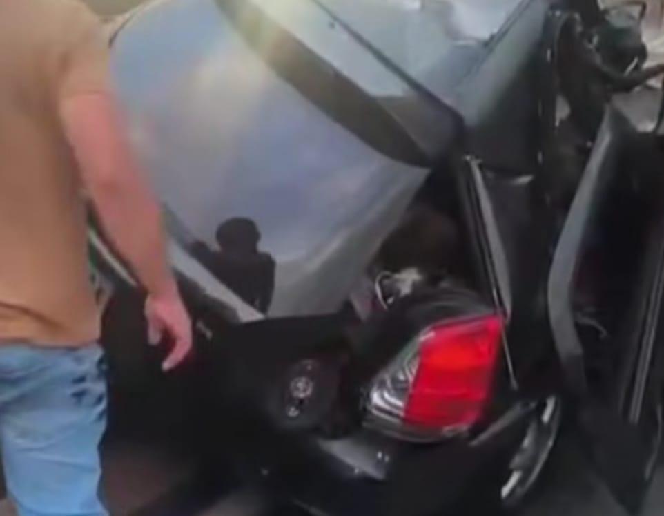 Tragédia na BR-381: Engavetamento com caminhões deixa mulher morta em Bom Jesus do Amparo