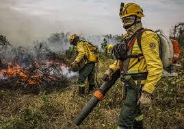 Guardiões da Canastra: Parque Nacional abre seleção para combatentes de incêndios florestais