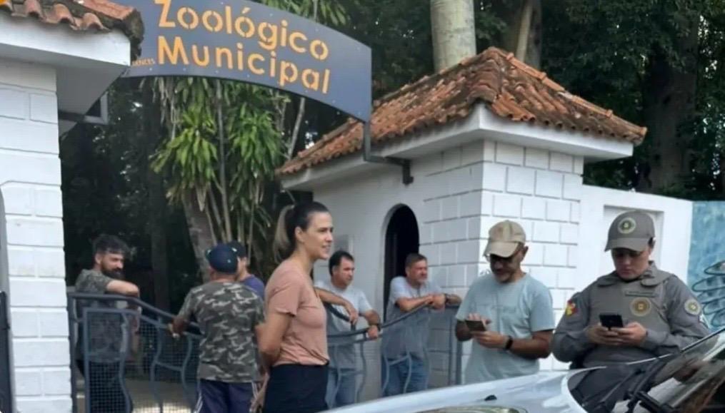 Invasão e Crueldade: Homem é Preso após Abater Veado dentro de Zoológico no RS