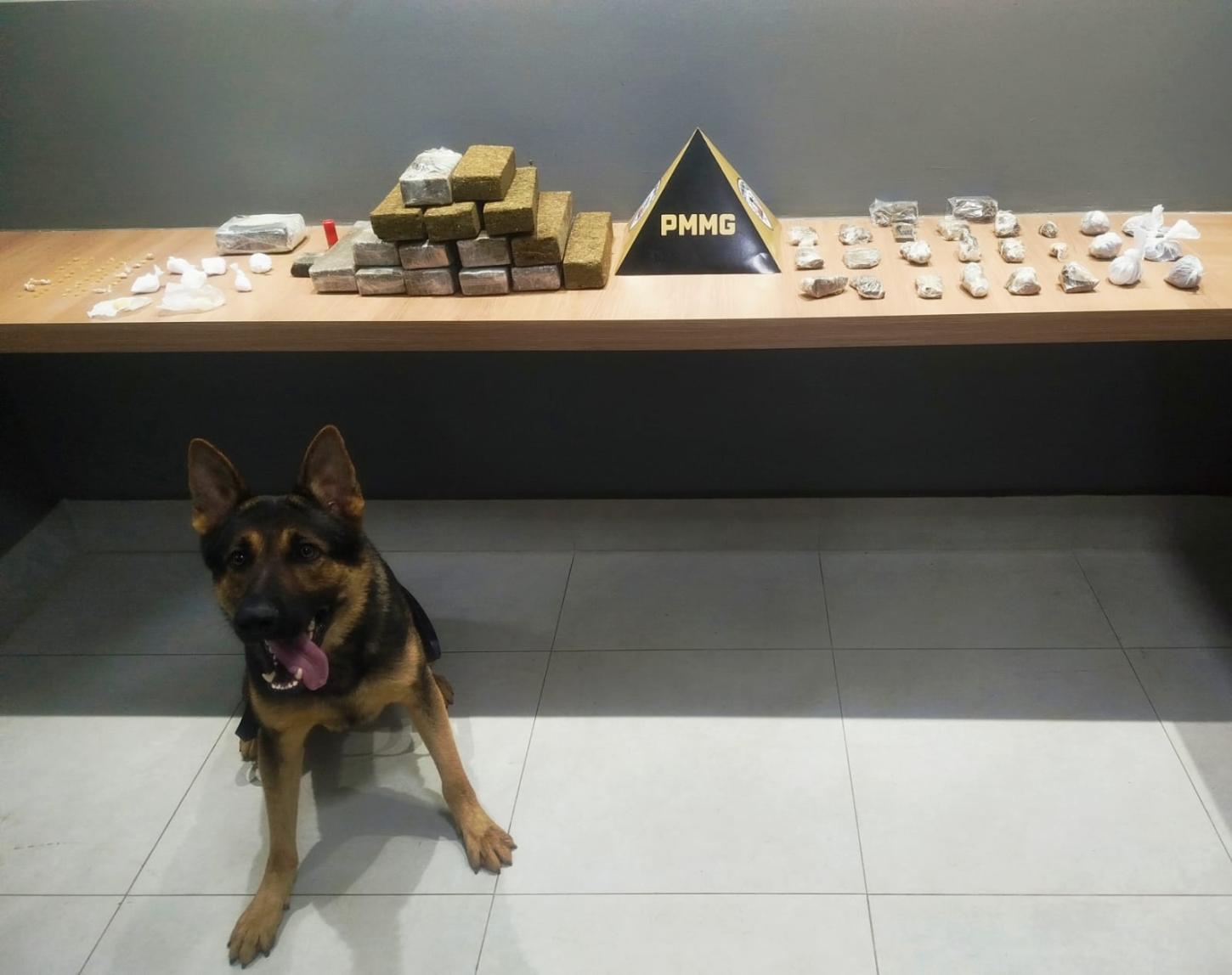 Vídeo - Manhuaçu: Polícia Militar desarticula depósito do tráfico e retira dezenas de barras de maconha de circulação