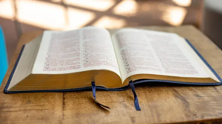 Palavra do Dia: Santidade e o chamado para uma vida de propósito; reflita nesta quarta-feira (8)