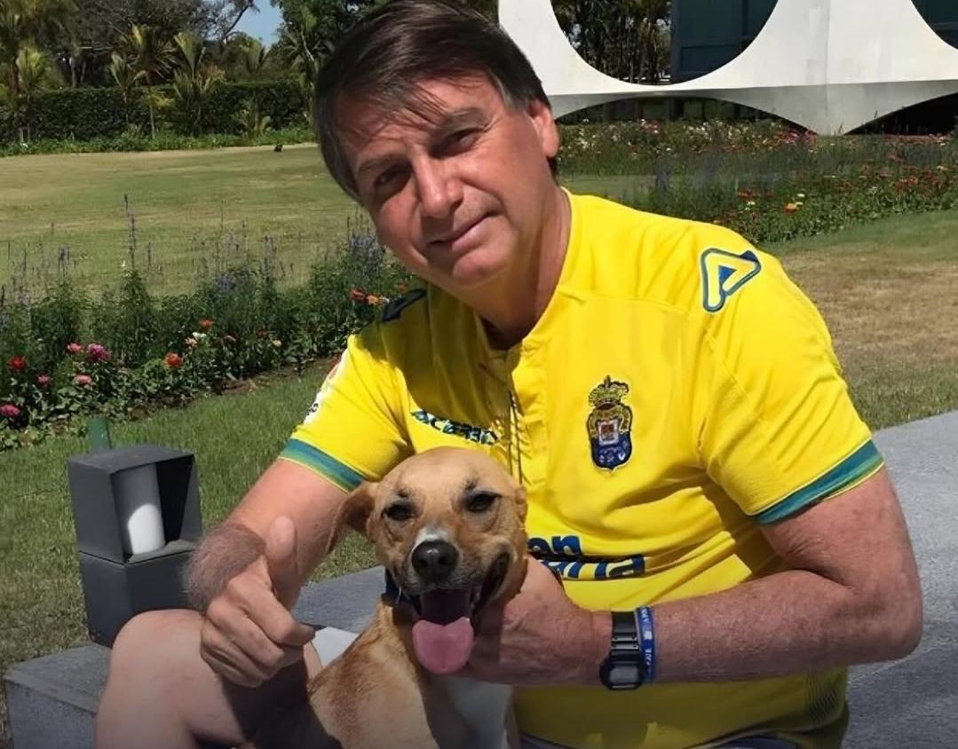 PMs relatam condições precárias e ataque de cão caramelo na vigilância de Bolsonaro em Brasília