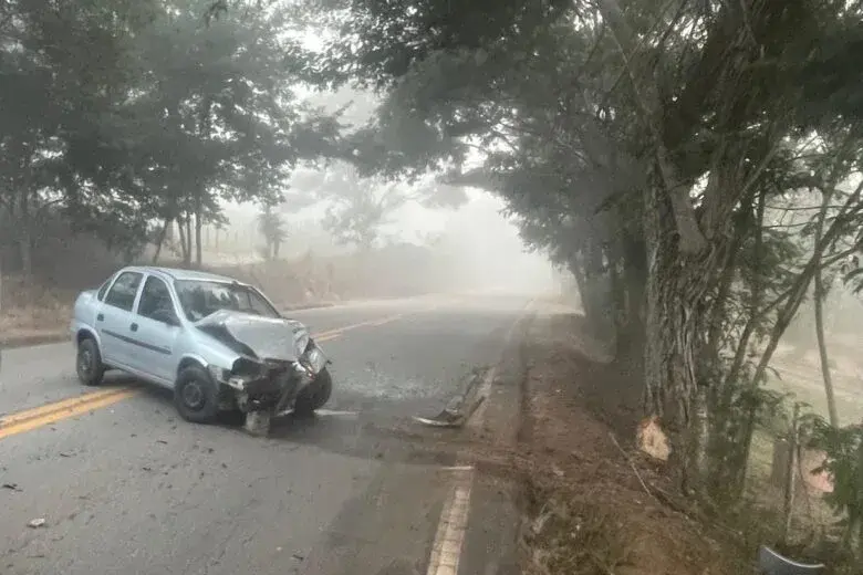 Motorista fica ferido após carro bater em árvore na LMG-779, em Itabira