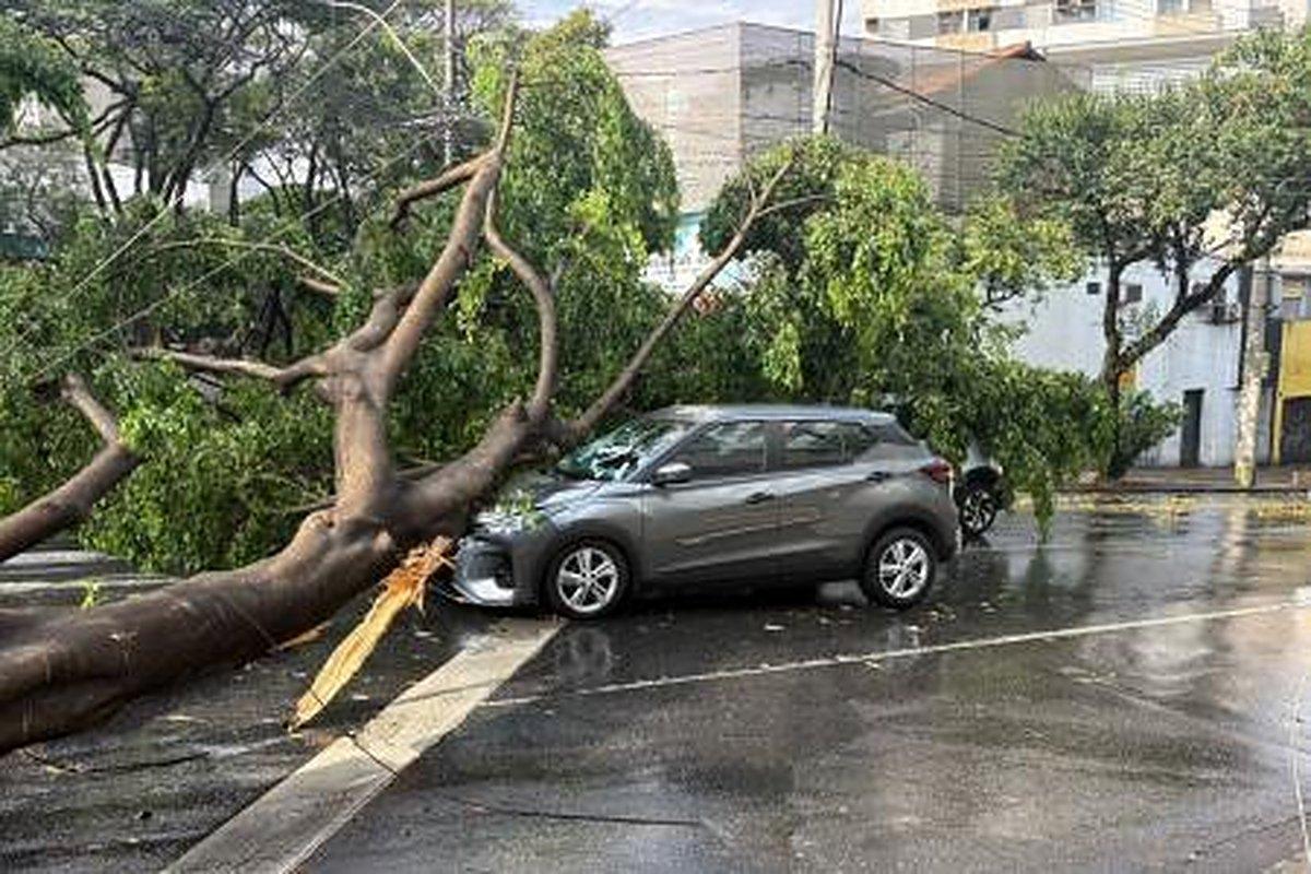 Carro com mãe e filha é atingido por árvore durante chuva forte em BH