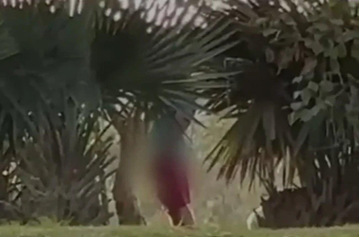 Homem é flagrado se masturbando em praça próxima a escola em Itabira