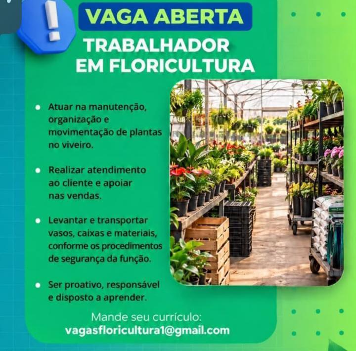 Vagas