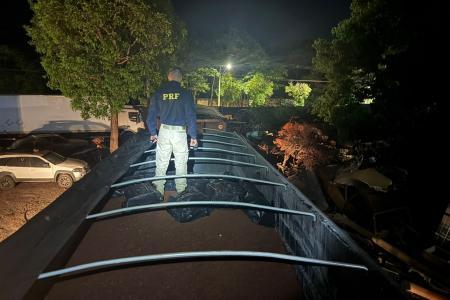Cheiro forte entrega carga: PRF acha mais de uma tonelada de maconha sob minério em carreta na BR-262