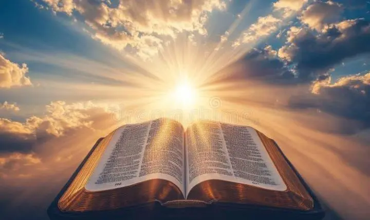 A Palavra que Cura: O que a Bíblia Diz Para Quem Está Com o Coração Partido Hoje