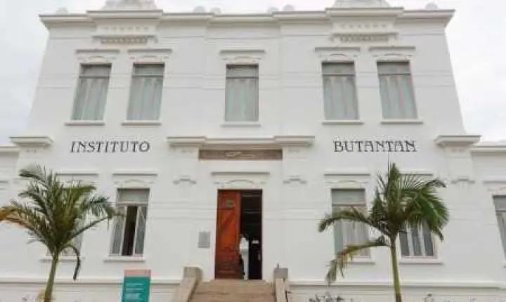 Butantan defende vacina contra dengue após suspensão pelo Ministério da Saúde e diz que seguirá determinação