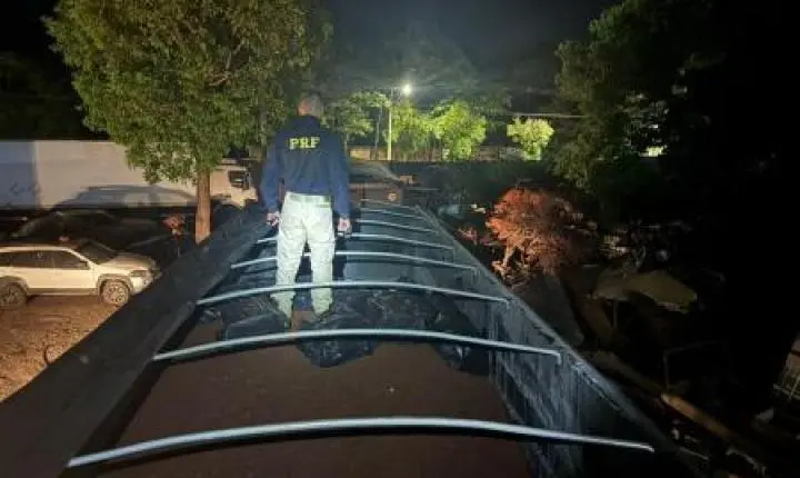 Cheiro forte entrega carga: PRF acha mais de uma tonelada de maconha sob minério em carreta na BR-262