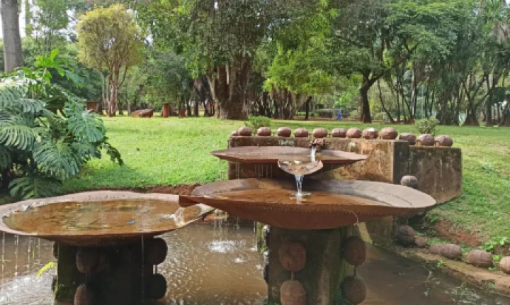 Corpo de mulher é encontrado decapitado em parque na região do Barreiro