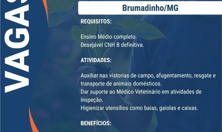 ERG Engenharia abre 9 vagas de emprego em Barão de Cocais e em outras de Minas Gerais; veja como se candidatar
