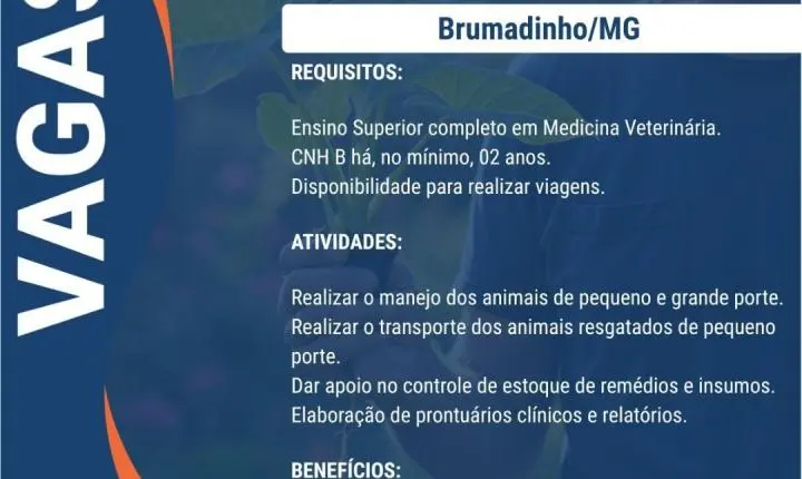 ERG Engenharia abre 9 vagas de emprego em Barão de Cocais e em outras de Minas Gerais; veja como se candidatar