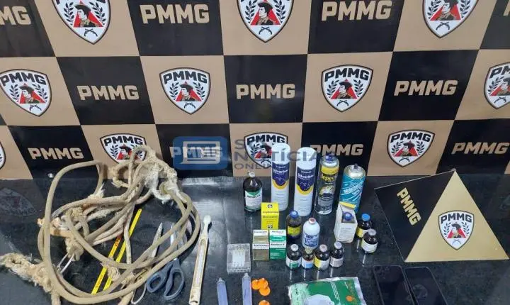 Furto de gado é descoberto na zona rural de Santa Cruz do Escalvado; Polícia recupera 16 bovinos e prende três suspeitos