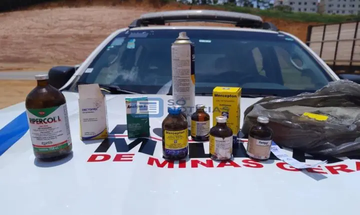 Furto de gado é descoberto na zona rural de Santa Cruz do Escalvado; Polícia recupera 16 bovinos e prende três suspeitos