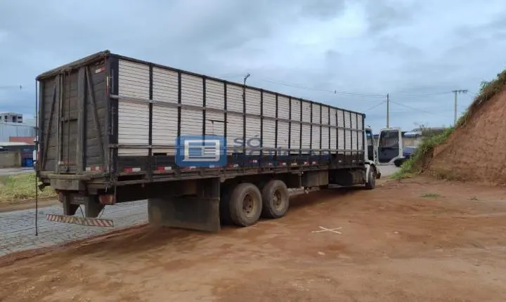 Furto de gado é descoberto na zona rural de Santa Cruz do Escalvado; Polícia recupera 16 bovinos e prende três suspeitos