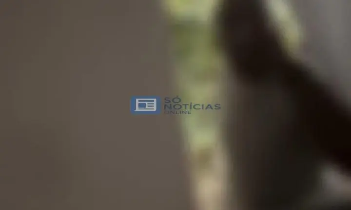 Vídeo - Homem pula janela, agride ex-mulher e é preso pela Guarda de Santa Bárbara