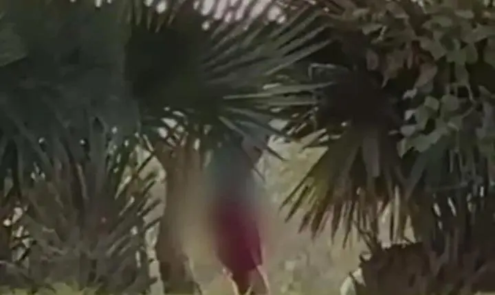 Homem é flagrado se masturbando em praça próxima a escola em Itabira