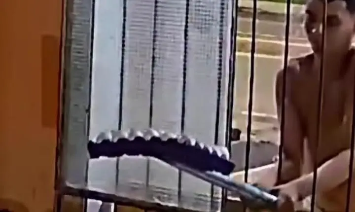 Vídeo - Furto inusitado de ovos com cabo de vassoura no Amazonas viraliza nas redes sociais