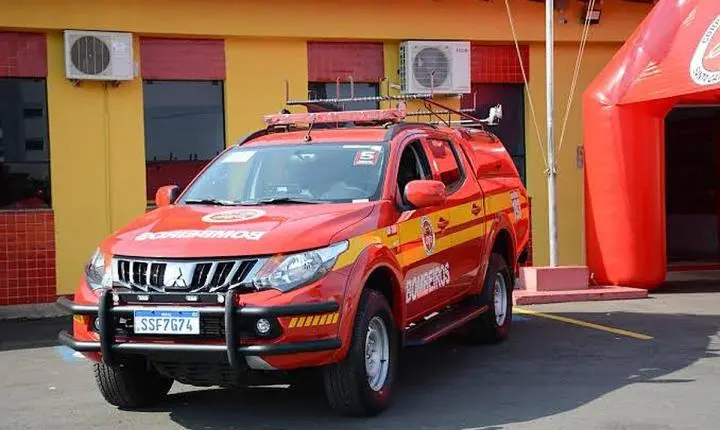 Imbé de Minas: homem de 42 anos morre atingido por eucalipto na zona rural 
