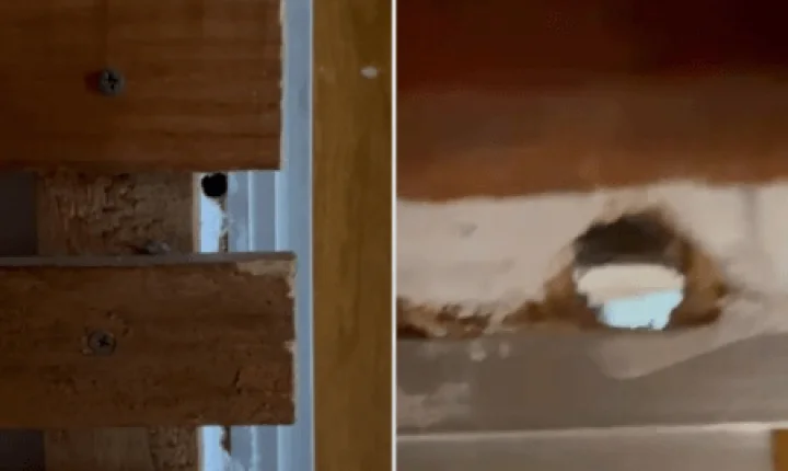 Mãe denuncia marido por filmar enteada no banho por buraco na parede do banheiro em BH