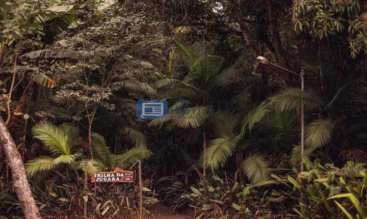 Itabira terá manhã gratuita de trilha e educação ambiental no Parque do Intelecto